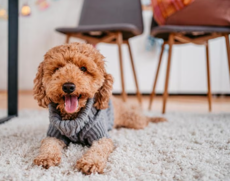 Vintage-style doodle illustration representing doodle history